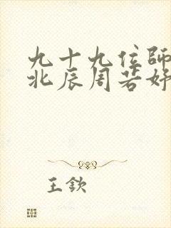 九十九位师傅叶北辰周若妤小说