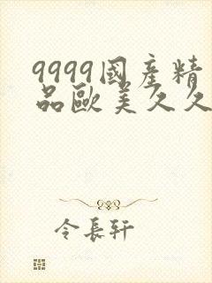 9999国产精品欧美久久久久久