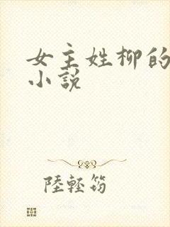 女主姓柳的古言小说