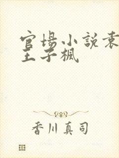 官场小说袁雯洁王子枫