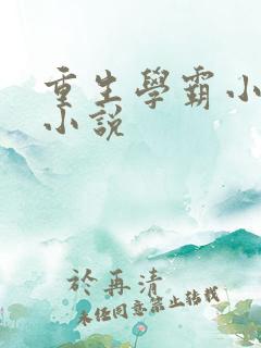 重生学霸小甜妻小说
