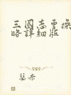 三国志曹操传攻略详细版