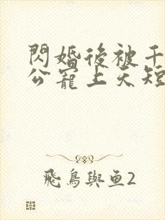 闪婚后被千亿老公宠上天短剧全集