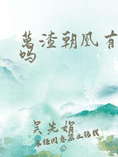 万渣朝凰有小说吗