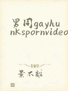 男同gayhunkspornvideo