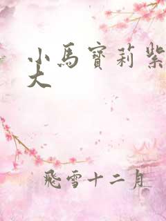 小马宝莉紫悦长大