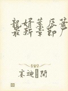 龙婿叶辰萧初然最新章节厂