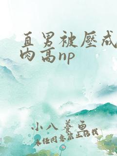 直男被压成总受肉高np