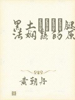 黑土ちゃんが腿法娴熟的原因