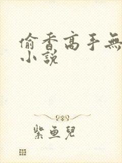 偷香高手无删减小说
