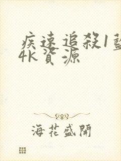 疾速追杀1蓝光4k资源