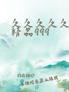 久久久久久国产精品999