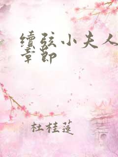 续弦小夫人全部章节