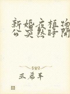 新婚夜植物人老公突然睁开眼小说阅读