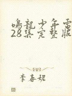 鸣龙少年电视剧28集完整版