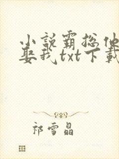 小说霸总他非要娶我txt下载