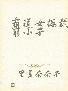 霸道女总裁爱上穷小子