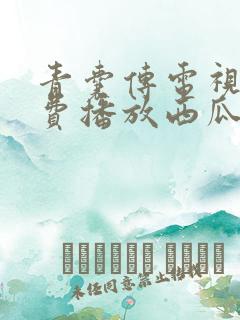 青囊传电视剧免费播放西瓜