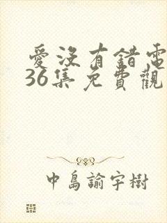 爱没有错电视剧36集免费观看