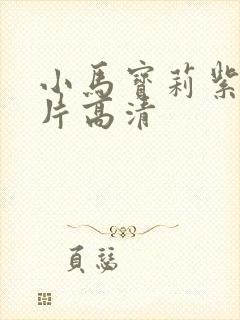 小马宝莉紫悦图片高清