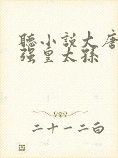 听小说大唐之最强皇太孙