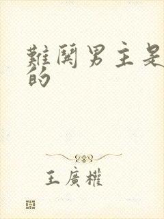 难哄男主是谁演的