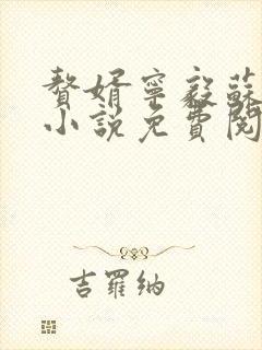 赘婿宁毅苏檀儿小说免费阅读无广告