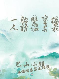 一胎双宝总裁大人请温柔最新章节