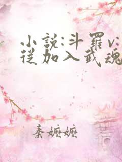 小说:斗罗v:从加入武魂殿开始