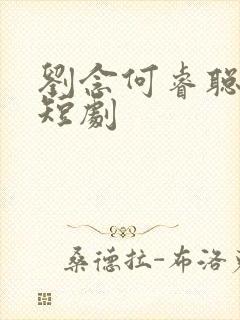 刘念何睿聪演的短剧