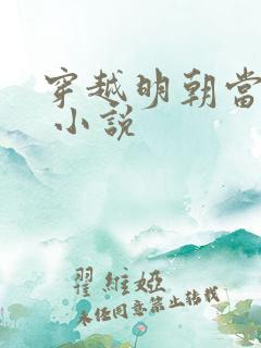 穿越明朝当暴君 小说