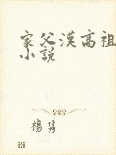 家父汉高祖顶点小说