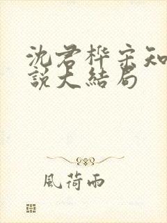 沈君桦宋知慧小说大结局