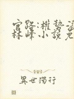 官路:权势滔天林峰小说免费阅读完整版