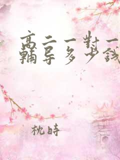 高二一对一数学辅导多少钱