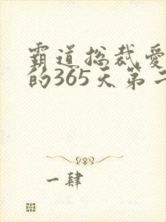 霸道总裁爱上我的365天第二季免费观看