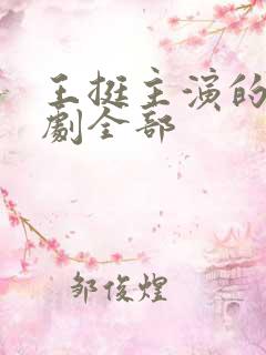 王挺主演的电视剧全部