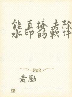 能直接去除视频水印的软件