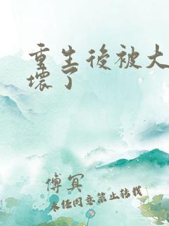 重生后被大佬宠坏了