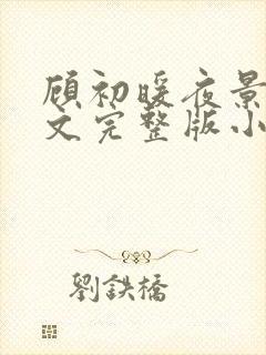 顾初暖夜景寒全文完整版小说