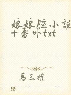 娘娘腔小说完整+番外txt