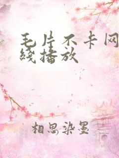 毛片不卡网站在线播放