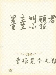 男主叫顾君年的重生小说