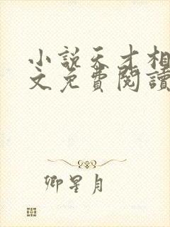 小说天才相师全文免费阅读