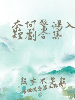 奈何惊鸿入我心短剧合集