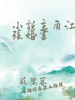 小说主角江羽九张婚书