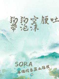 狗狗空腹吐黄水带泡沫