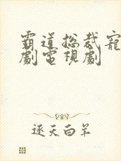 霸道总裁宠妻短剧电视剧