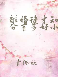 离婚后才知道老公有多好小说