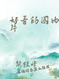 好看的国内谍战片